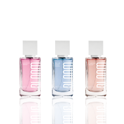 Kit 3 Perfumes Capilares – Majesty, Blue Mist e Cheer